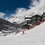 Bergman Mountain 브루일서비니아