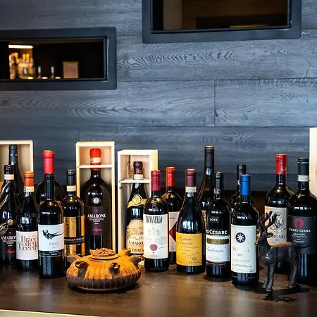 Bergman Mountain 酒店 布勒伊-切尔维尼亚